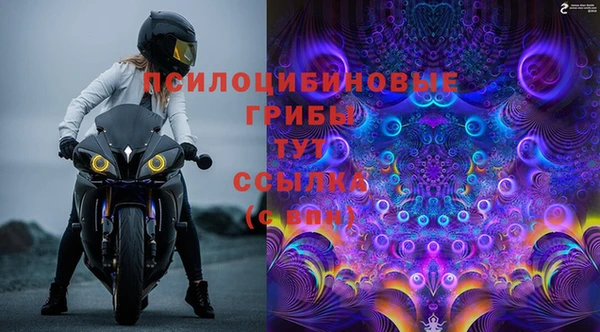 кокс Алзамай