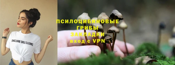 прущая мука Абаза