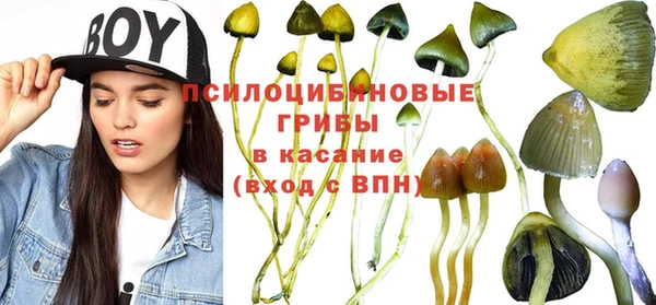 мескалин Абинск