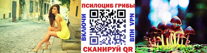 blacksprut ссылки  Конаково  Галлюциногенные грибы Psilocybe  где купить  